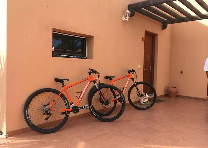 Cardon Big Calm 12 Costa Calma