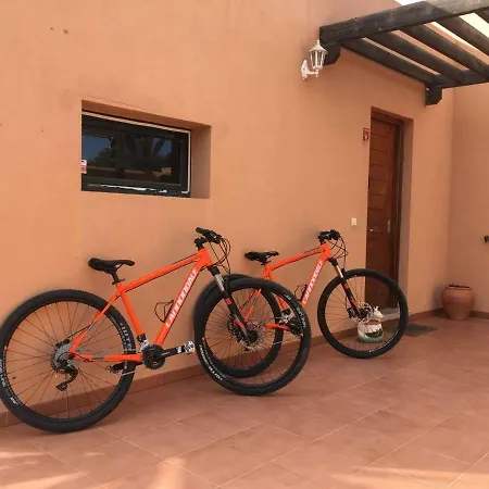 Cardon Big Calm 12 كوستا كالما